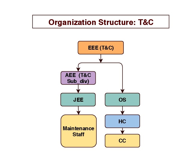 Organization Structure: T & C