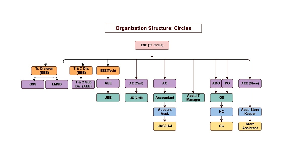 Organization Structure: Circles