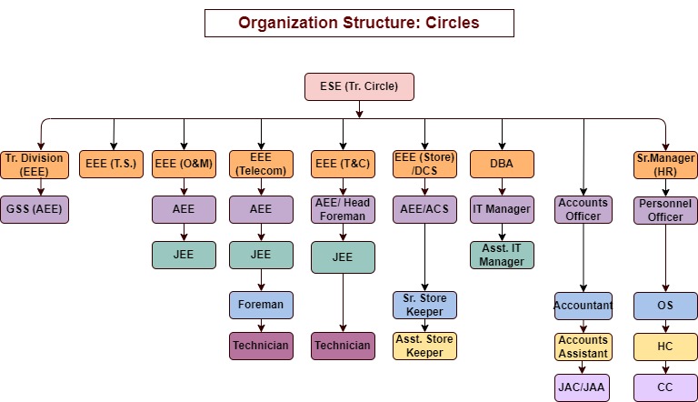 Organization Structure: Circles